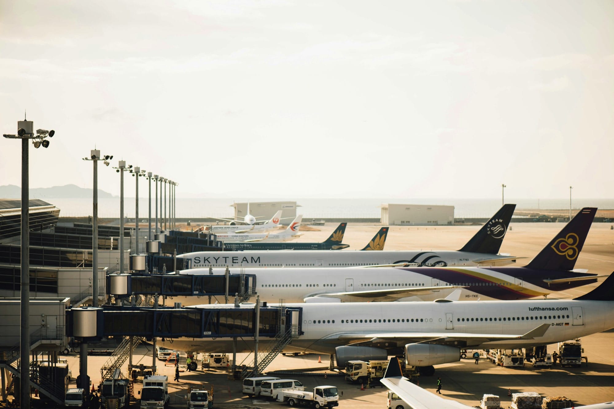 websites for airlines