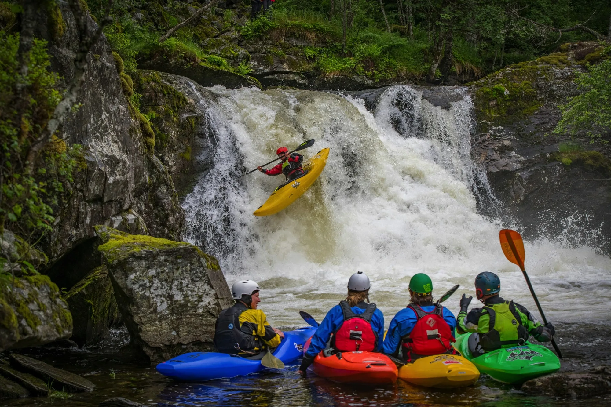 websites for ecotourism