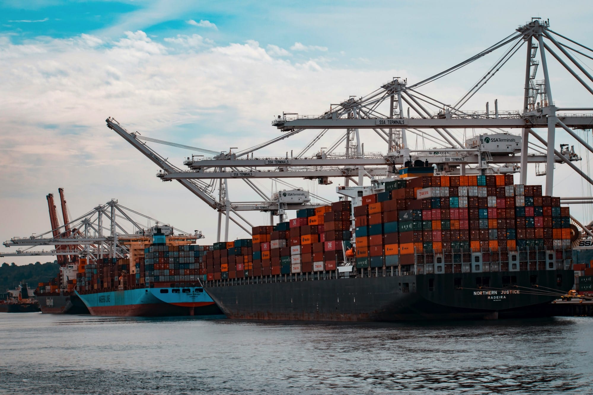 websites for exports