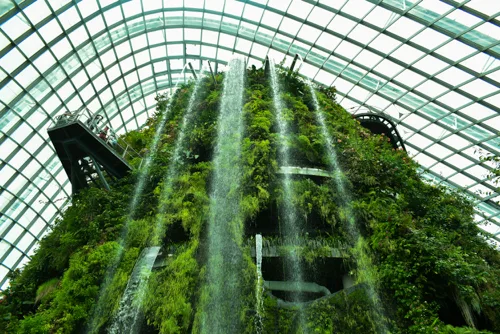 Green tech in business