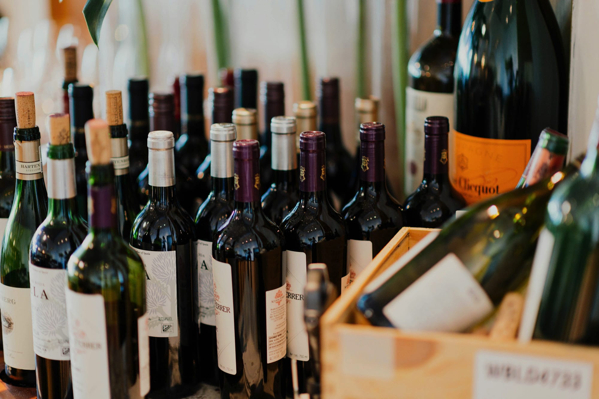 websites for wines